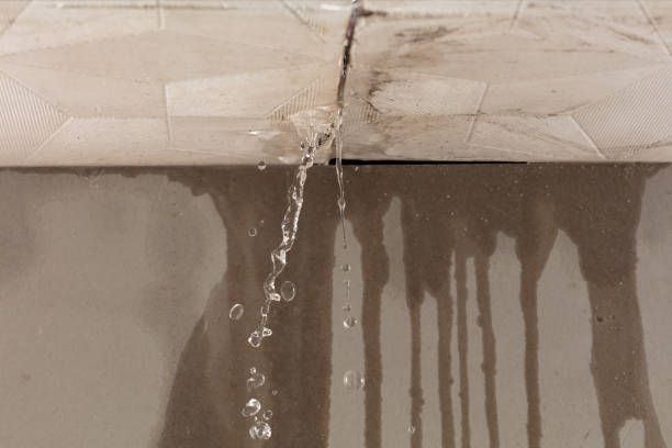 Professional Sewage Cleanup technician working in Jackson Heights, NY